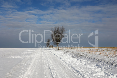 Winter landscape with snowy fields and blue sky