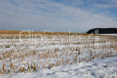 Snow-covered fields on a clear winter day