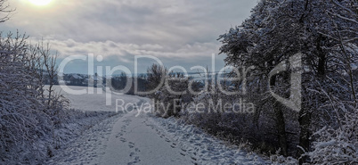 Snow covered fields in a frosty winter morning