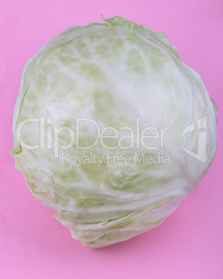 Head of White Cabbage on Pink Background