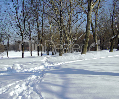 snow in sunny day