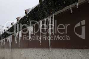 The snow on the roof melts and forms ice icicles