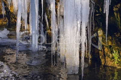 A huge icicle hanging from a rock with moss, which melts and drips into the water