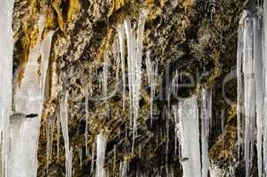 A huge icicle hanging from a rock with moss, which melts and drips into the water