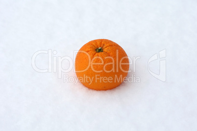 Oranges lie in the snow. Ripe fruits