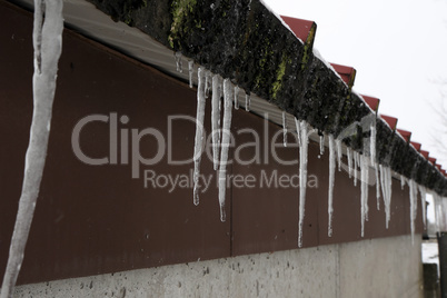 The snow on the roof melts and forms ice icicles