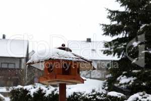 Bird houses and feeders in the park in winter