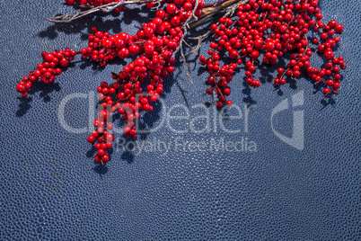 Red berries on a navy blue leather
