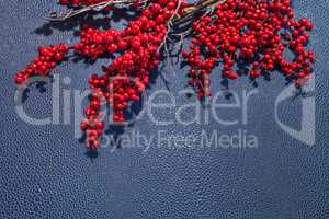 Red berries on a navy blue leather