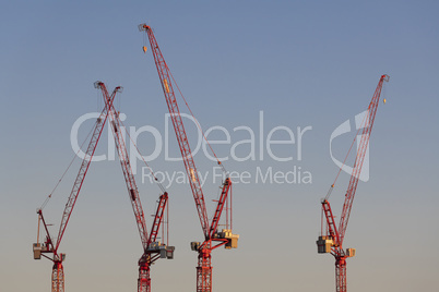 Four cranes in the evening light on a large construction site in