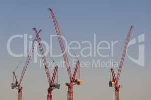 Four cranes in the evening light on a large construction site in