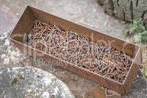 Old metal tray with rusty nails.