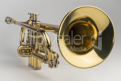 Gold colored trumpet as an isolated object against a white backg