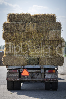 Straw bales on a flat farm wagon at a Dutch livestock farm.