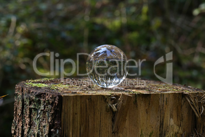 Glass ball on a tree stump in the forest