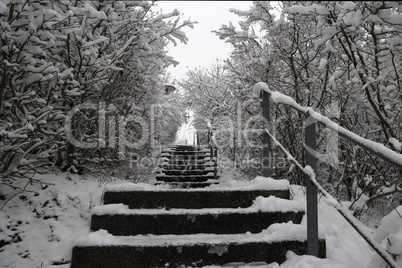 A view of the stairs from the bottom in the park.