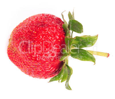 one raw red Strawberry