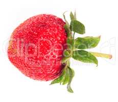 one raw red Strawberry