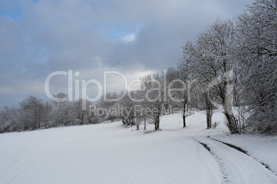 Hiking path near the german city Hallenberg