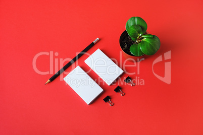 Blank corporate identity