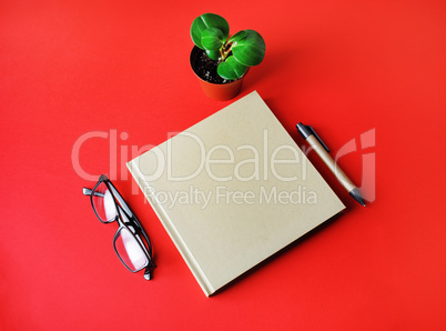 Book, glasses, pen, plant