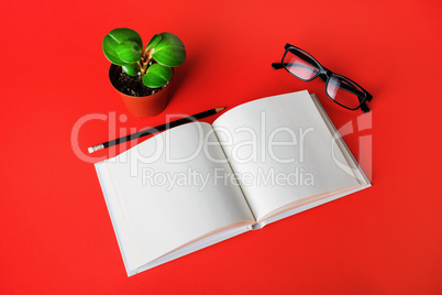 Book, glasses, plant, pencil