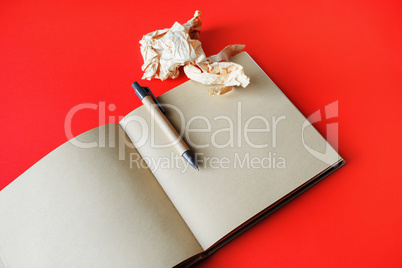 Brochure, pen, crumpled paper