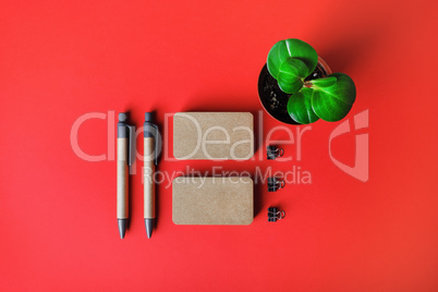 Business cards, pens, plant