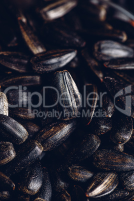 Background of sunflower seeds