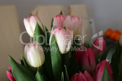 Spring bouquet of tulips on a blurred background