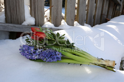 A bouquet of spring flowers lies in the snow
