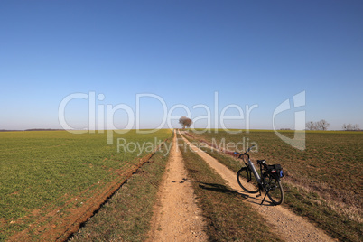 First spring bike rides among green fields