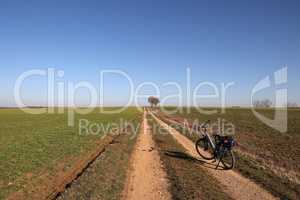 First spring bike rides among green fields