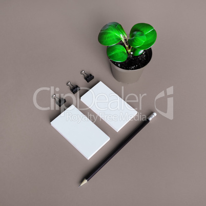 Business cards, pencil, plant