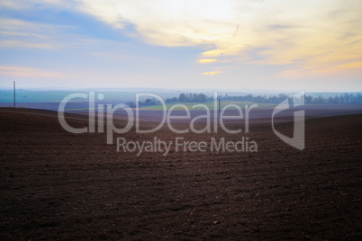 Agricultural rural landscape