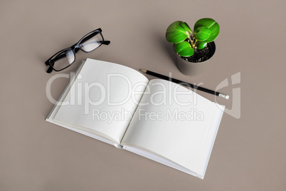Brochure, pencil, glasses, plant