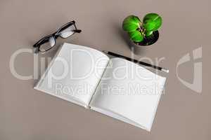 Brochure, pencil, glasses, plant