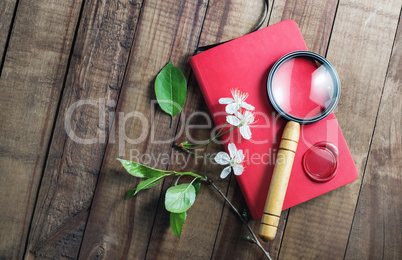 Notebook, magnifier, flowers