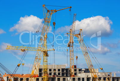 Yellow cranes, building