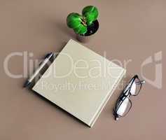 Brochure, glasses, pen, plant