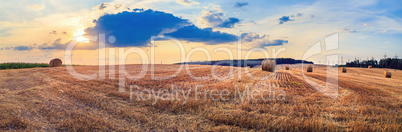 Field and sunset