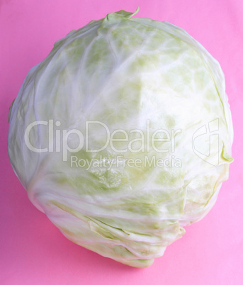 Head of White Cabbage on Pink Background