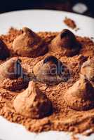 Homemade chocolate truffles coated in cocoa powder