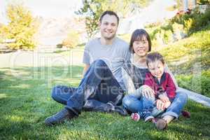 Happy Mixed Race Family Having Fun Outside on the Grass