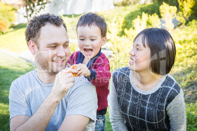 Happy Mixed Race Family Having Fun Outside on the Grass