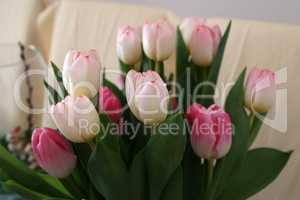 Spring bouquet of tulips on blurred background