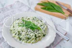 Frühlings Risotto