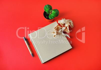 Book, plant, crumpled paper, pen