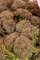 Broccoli florets, Brassica oleracea var. italica, in a crate at