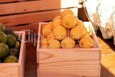Bunch of lemons in a crate at a farmers market